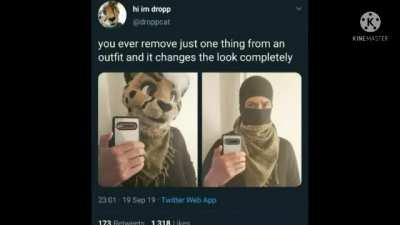 In response to a recent poll on this sub: