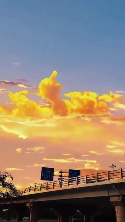 When you need a sign...