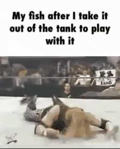 Why is ‘sweet child o mine’ playing