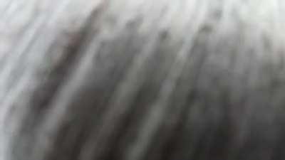 Hold my Iceberg while I try to climb it