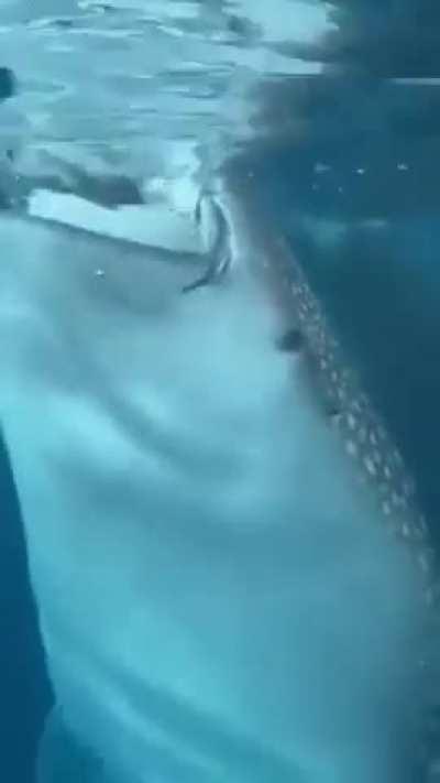 When running is not an option 