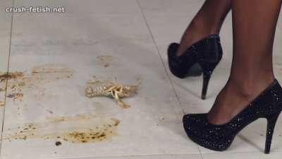 My second favourite Jocelyn clip......