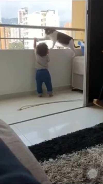 O gato que poderia ter salvo MC Kevin