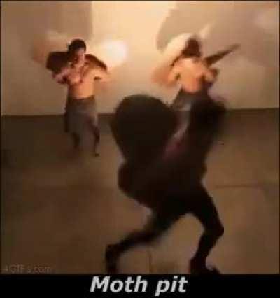Moth