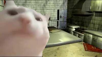 Me playing the dual shock edition.