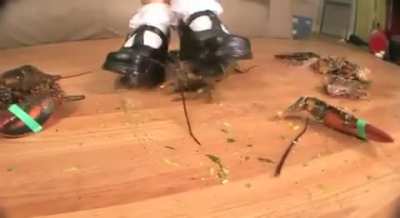 Crawdad Crush with heels