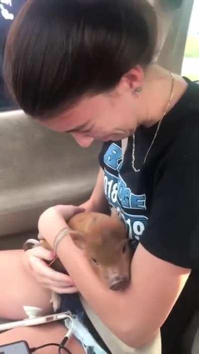 Being surprised with a baby piglet