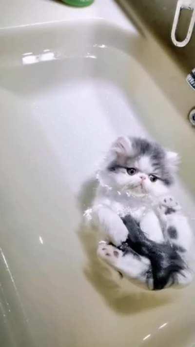 Kitten (ball of wool) floating in water...