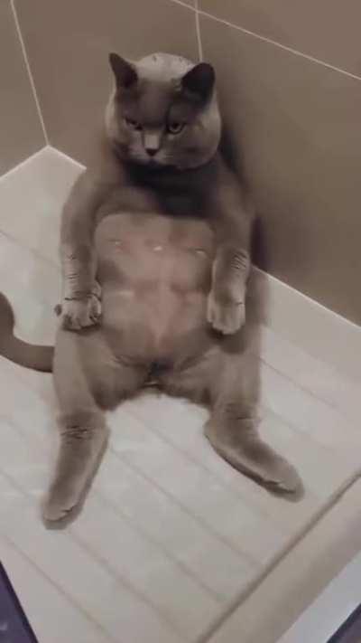 What is going on here😂