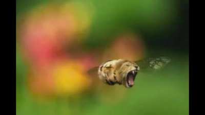 about the music in the video in my previous post