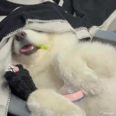 Mmm, chicken tastes weird these day