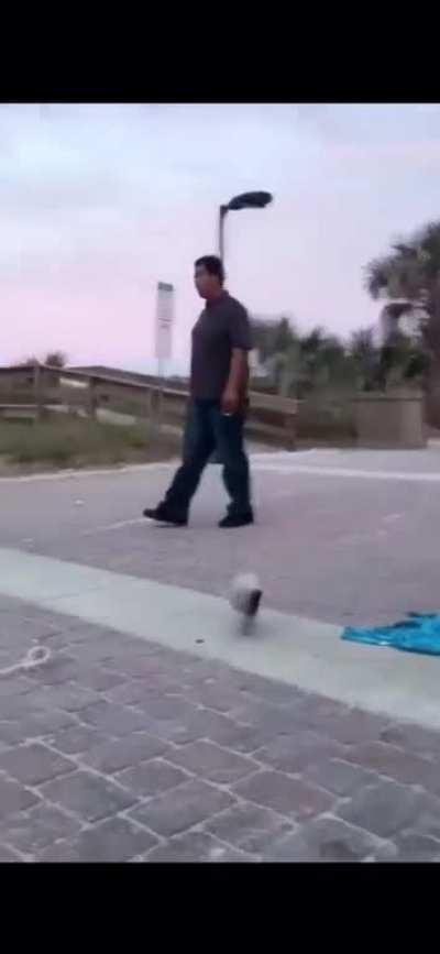 Thought this fitted here