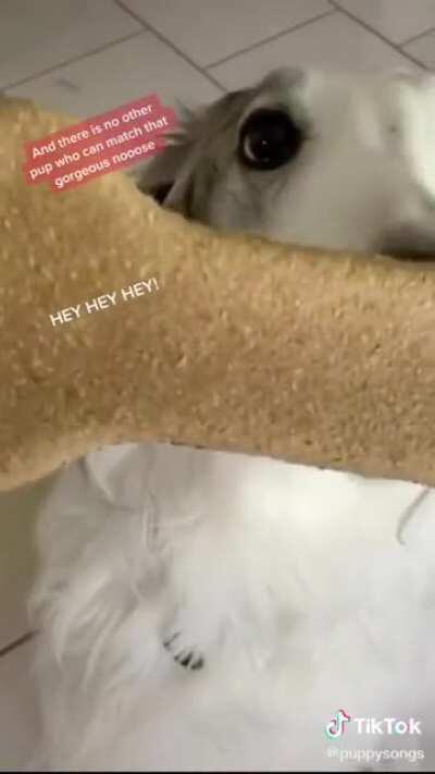 Not Eef but I thought you all and he would appreciate this