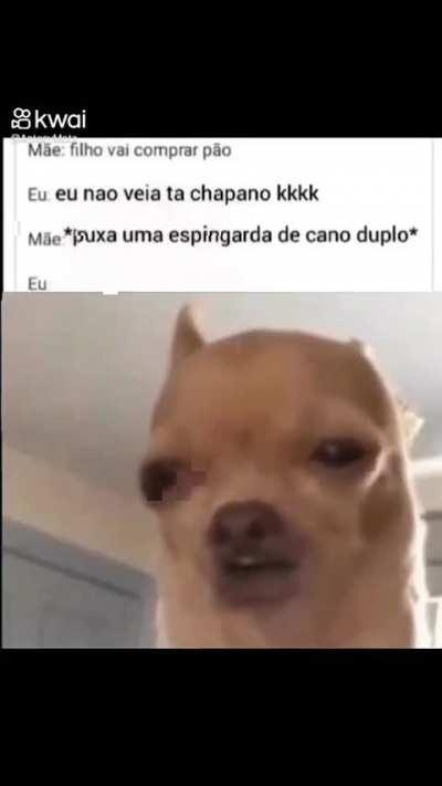 🫵🤨🏳️‍🌈?