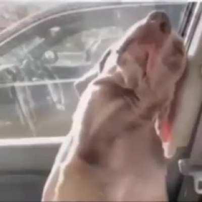 🚨Live Buford Reaction‼️