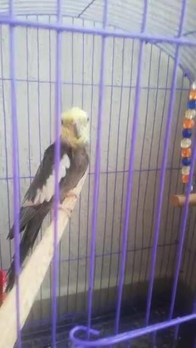 He does this when he is happy