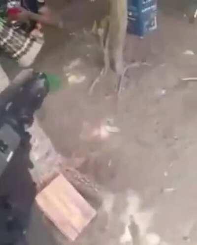 O pessoa do meu status aí kk