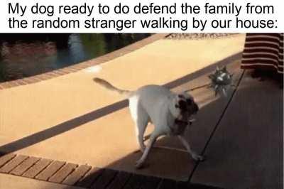 Woofcifer, Wielder of the Morningstar