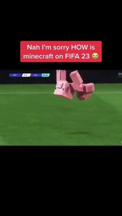 Blursed Fifacraft