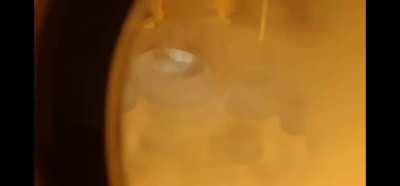 This footage from underneath super heavy is incredible!