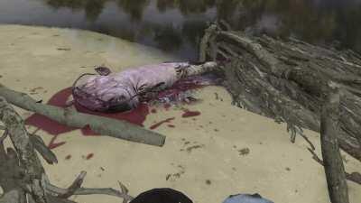 The story of Hatfish continues...