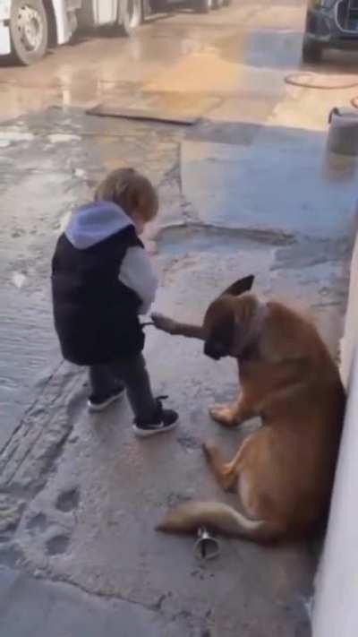 In a world where you can be anything, be kind.