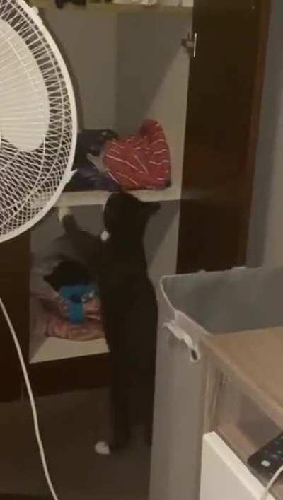 Going for the top shelf...