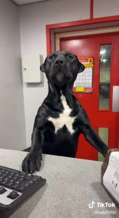 Overwhelmed on his first day on the job