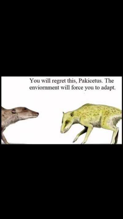 Found from the scrolls of the lands beyond time. 