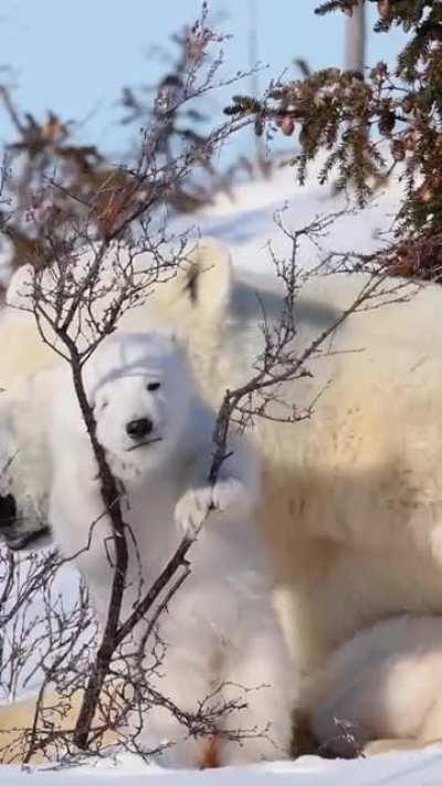 Hanging out with mom.