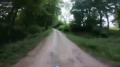 Speeding blindly through the woods - What could go wrong...