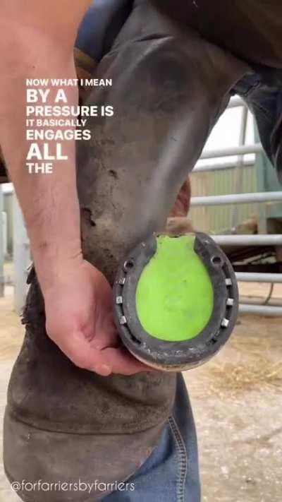 Hoof packing, basically horse sneakers