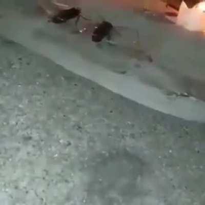 My room last night (colorized 2020)