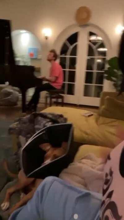 Billie Eillish slapping her gigantic knockers