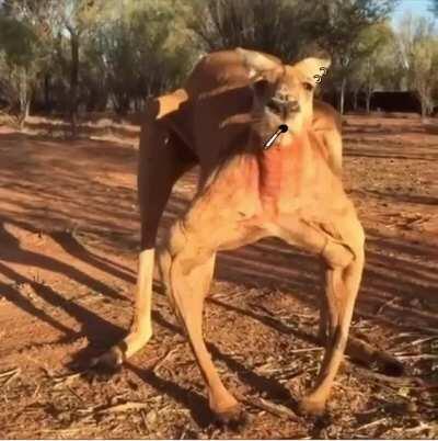 Close call with Kerry