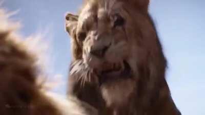 Scar likes Mufasa's cut g