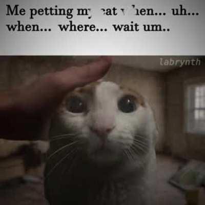 Thought this belonged here