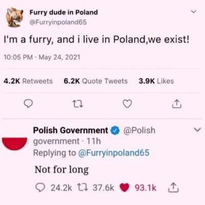 Chad polish government 🗿
