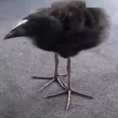 RECONSTRUCTION!!!!!!!!!!!!!!!!!!!!!!!