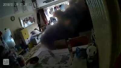 Idk if this is a repost but oh well