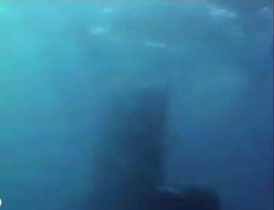 Diving next to a submarine while it’s pulsing sonar, which can kill you.