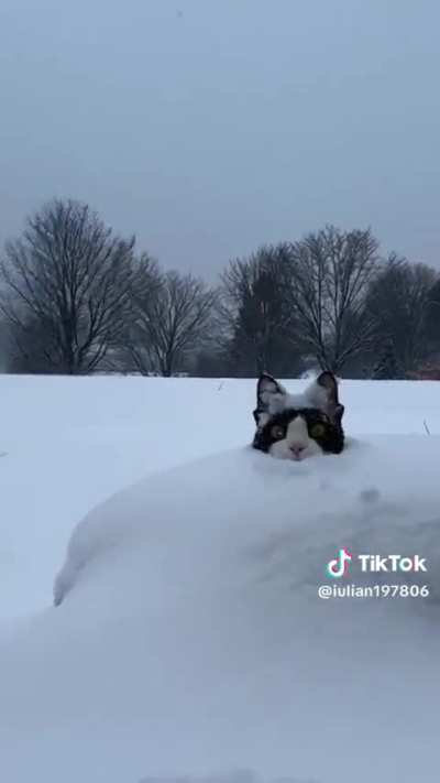 Para ajudar quem está nos 40ºC (e já vivi em -27ºC por mais que eu esteja morrendo, nunca mais xingo o calor)
