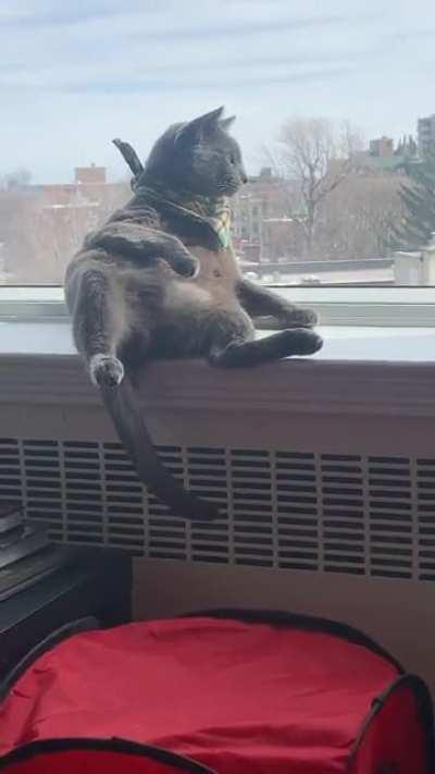 Julius C. enjoying the view