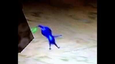 Piktermination but it gets faster and faster