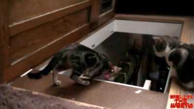 I thought we were friends