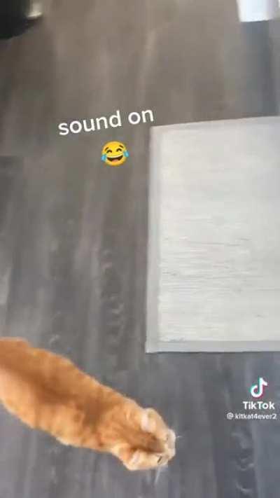 Lower your voice 👀