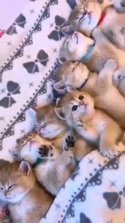 Seems like a cute little one is not sleepy yet 😍