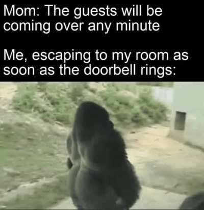 Gotta hide somewhere