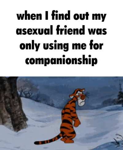 Turns out it was just… friendship