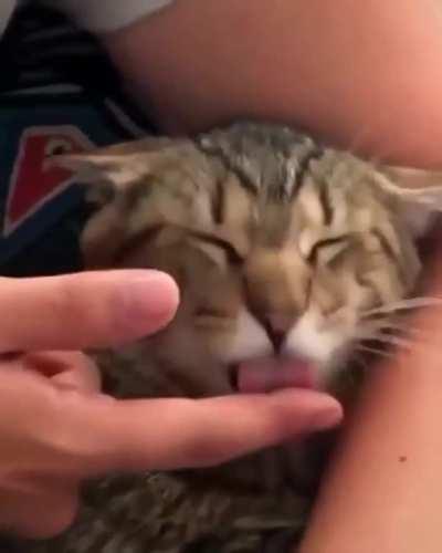 We can all use a little help